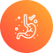 Icon=Digestion