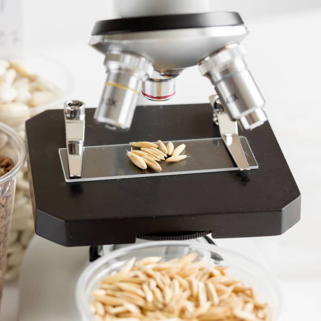 Tests for pesticides in cereal in at laboratory