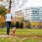 Woman,Walking,In,The,Park,With,A,Small,Brown,Dog