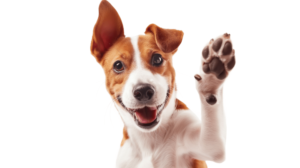 Shutterstock_2485830255