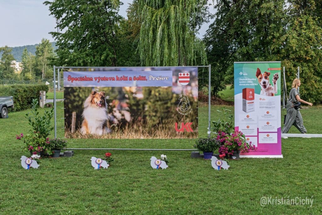 sv-presov-2025-081